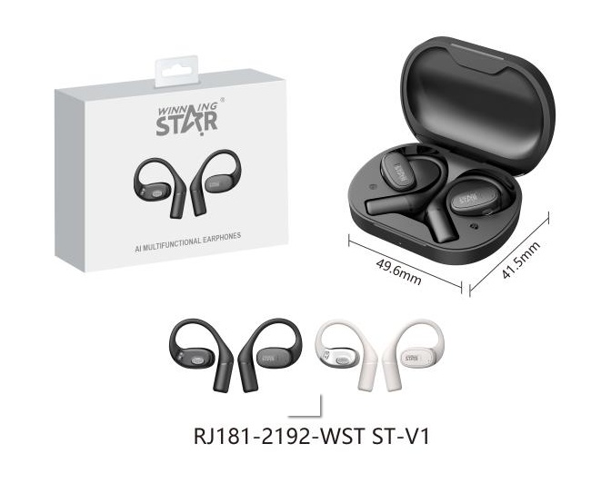 Беспроводные наушники Winning Star RJ181-2192 ST-V1